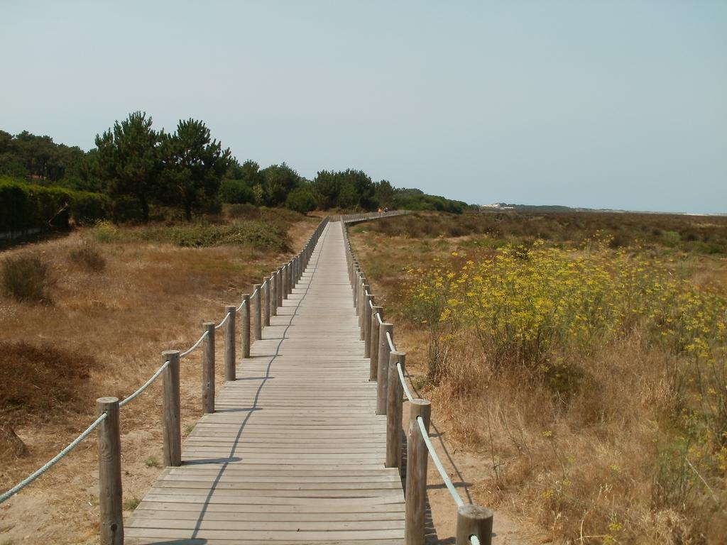 Bestvillas Park Ofir Esposende Extérieur photo
